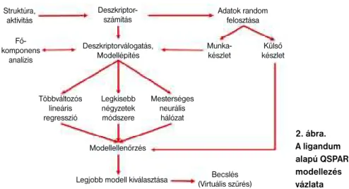 2. ábra.  A ligandum  alapú QSPAR modellezés  vázlata Struktúra,aktivitásDeszkriptor-számításMunka-készletFő-komponensanalízisDeszkriptorválogatás,ModellépítésKülsőkészletTöbbváltozóslineárisregresszióLegkisebbnégyzetekmódszereMesterségesneurális hálózatMo