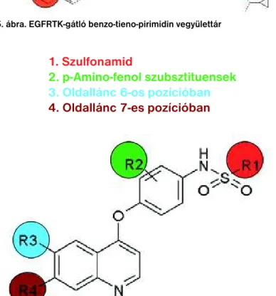 5. ábra. EGFRTK-gátló benzo-tieno-pirimidin vegyülettár