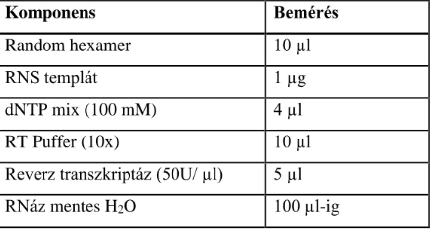 5. táblázat: A reverz transzkripció reakcióelegy-összetétele 