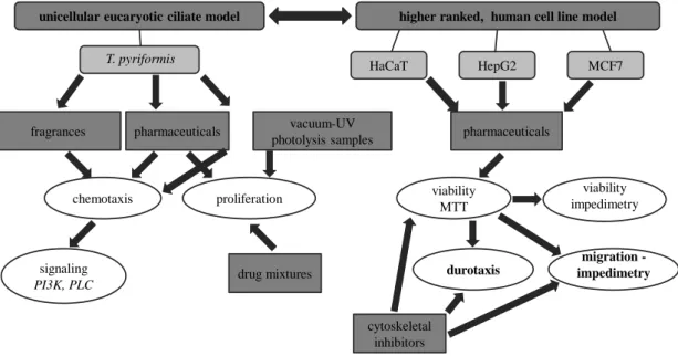 Fig. 1: Overview of the applied model systems and most important biological assays 