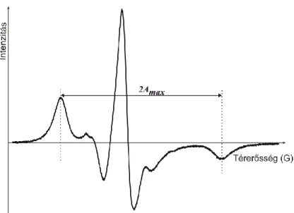 7. ábra Egy liposzómamembránba zárt spin-jelölt zsírsav tipikus ESR spektruma. 