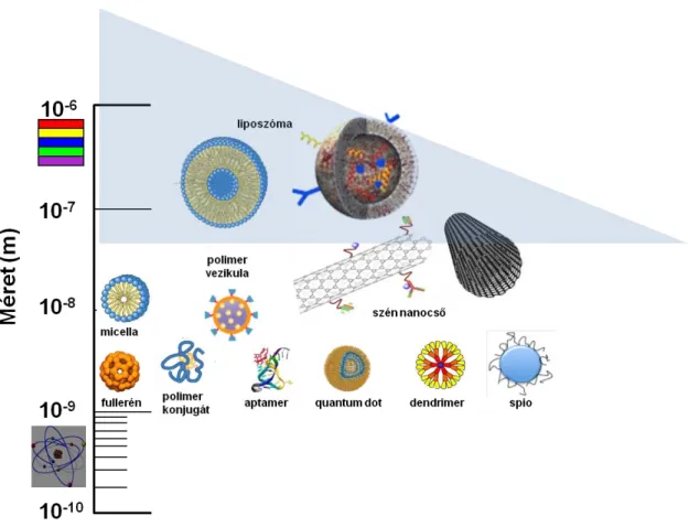 6. ábra Gyógyszerszállító nanorendszerek és az immunrendszer felismerés határa (kék háromszög)