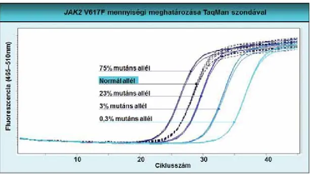 2. ábra A JAK2 V617F-pontmutáció mennyiségi meghatározása valós idejű PCR és TaqMan szonda alkalmazásával