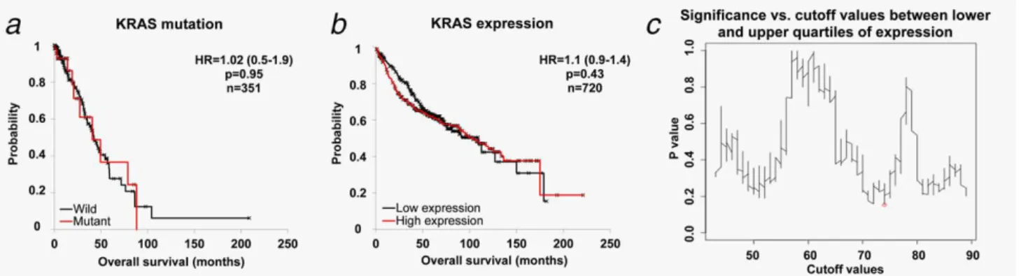 Table 1. Studies evaluating the impact of KRAS mutations in lung cancer (n 5 138)