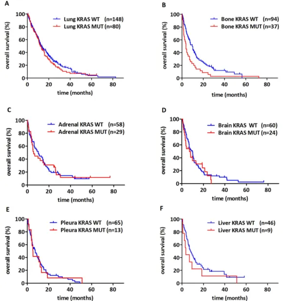 Figure 3.  Kaplan-Meier curves for the OS of metastatic lung adenocarcinoma patients according to KRAS  mutation status in patients with (A) lung, (B) bone, (C) adrenal, (D) brain, (E) pleura, and (F) liver spread