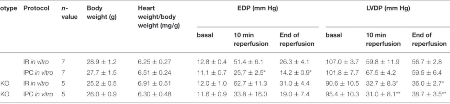 TABLE 1 | Summary of the baseline parameters and hemodynamic data throughout ischaemia-reperfusion protocols in vitro.