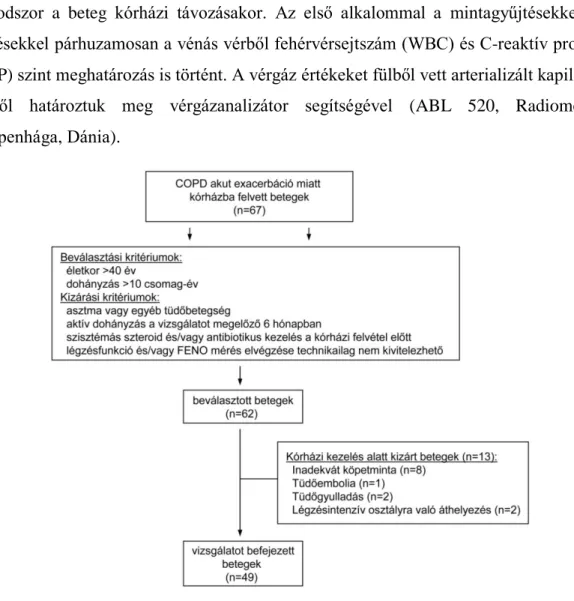 4. ábra. A vizsgálat folyamatábrája 