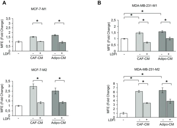Figure 2: Effects of a selective leptin receptor antagonist on breast cancer stem cell activity