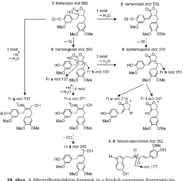 10. ábra. A dibenzilbutirolakton lignánok és a feruloil-szerotonin fragmentációs  folyamatai