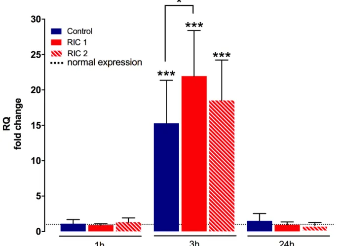 Fig 6. Liver tissue HO-1 encoding mRNA. mRNA expression of HO-1 increased markedly after 3 hours of reperfusion compared to the physiological levels (mean±SD,  p&lt;0.001 Experimental groups vs