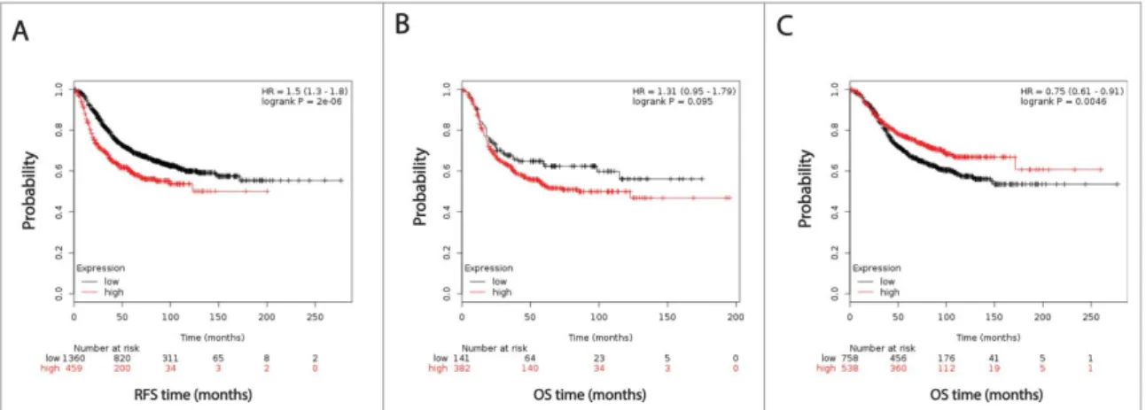 Figure 2. Kaplan-Meir and cox regression analysis of ERRLR01 levels and OS in breast cancer patients