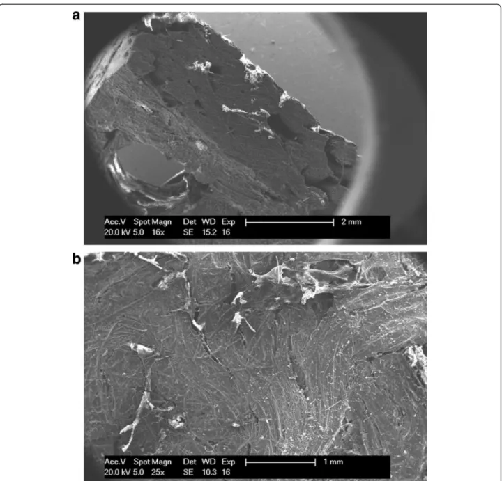 Fig. 8 Scanning electron microscope images of the implant retrieved from the human body, before the enzyme treatment