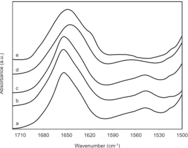 Fig. 3. Temperature dependence of the width (a) and position (b) of the amide I band and the amplitude of the amide II band (c) in a typical case (20% Ficoll)