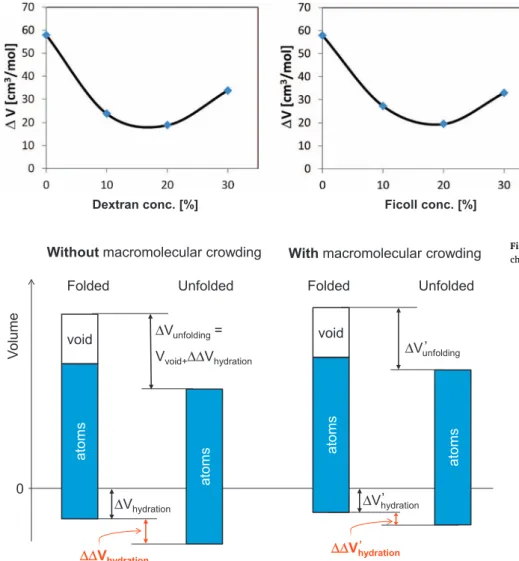 Fig. 9. Volume changes associated to the pressure unfolding of BSA vs. dextran (a) and Ficoll (b)  con-centration