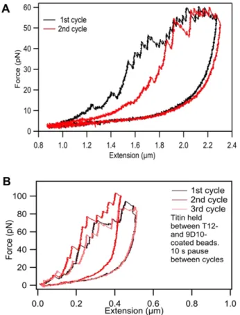 Fig. 4. Testing the long-timescale mechanical behavior and contribution of the PEVK domain