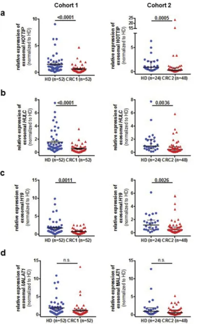 Figure 2. Expression analysis of exosomal long non-coding RNAs H19 (A), HOTTIP (B), HULC (C) and MALAT1 (D) in two independent cohorts (cohort 1, left panels, cohort 2, right panels) in specimens from healthy control (HC) and patients with colorectal cance
