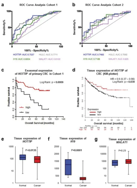 Figure 3. ROC curve analysis of exosomal long non-coding RNAs H19 (green), HOTTIP (blue), HULC (grey) and MALAT1 (violet) from patients with colorectal cancer and healthy control (a) of cohort 1 and (b) cohort 2