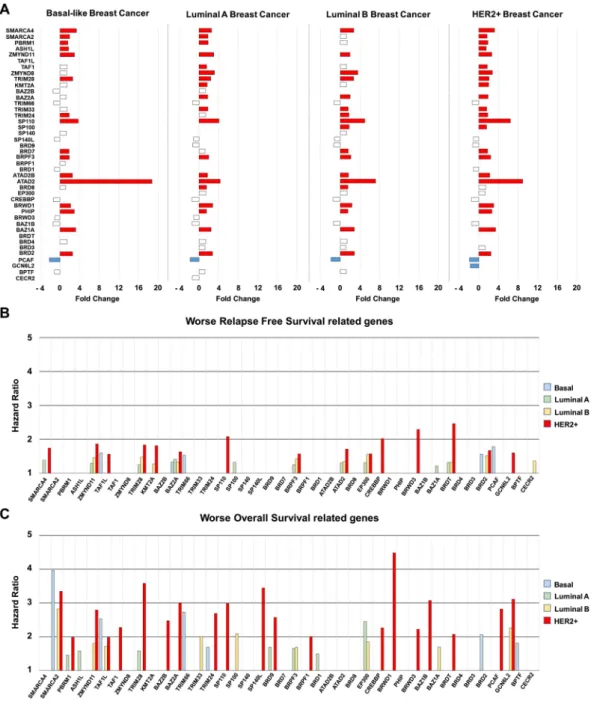 Figure 1C show the classification of the eight subfamilies of BRD containing proteins with the 3D structure.