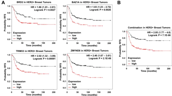 Figure 3. (A) Association of BRD2, BAZ1A, TRIM33 and ZMYND8 expression with relapse free survival in  HER2 +  tumors