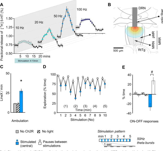 Fig 1. Channelrhodopsin (ChR2)-mediated optic stimulation robustly activated the MRR and altered behavior