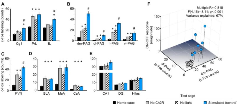 Fig 2. MRR stimulation selectively activates brain areas involved in emotional control
