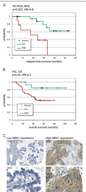 Figure 4 Correlation between MEK1 expression and survival after platinum treatment in EOC patients