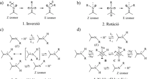 5. Ábra: Az oximok E/Z izomerizációjának lehetséges mechanizmusai [15, 16] 