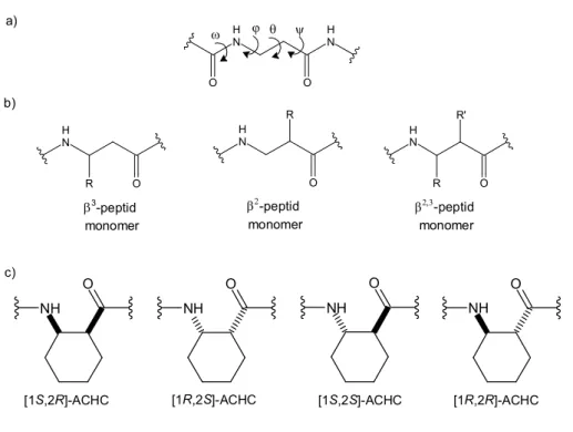 (12. ábra)  NH NH OOjqy NH OR NH OR NH ORR' b 3 -peptid  monomer b 2 -peptid monomer b 2,3 -peptid monomer NH O NH O NH O NH O