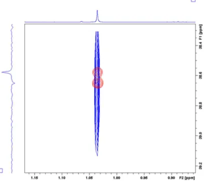 22. Ábra:  2c  HMBC (kék) és sávszelektív HMBC spektrum (piros) CH 3 -19/C-10 és   CH 3 -19/CH-9 korrelációkkal; 800 MHz 