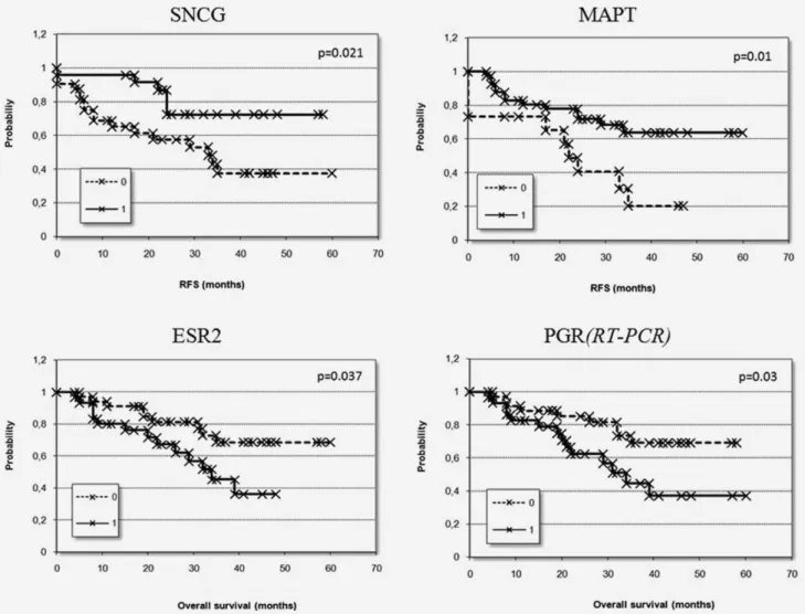 Figure 2. Discriminating power of the best genes measured by RT-PCR in 64 patients. Kaplan-Meier survival plots show relapse free survival (RFS) grouped by SNCG and MAPT and overall survival grouped by ESR2 and PGR according to the average expression of th