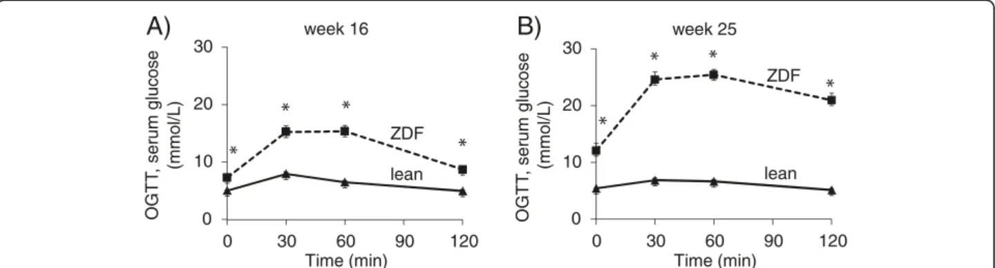 Figure 2 Glucose levels during OGTT. Glucose levels during OGTT at week 16 (A) and week 25 (B) in both lean and ZDF rats