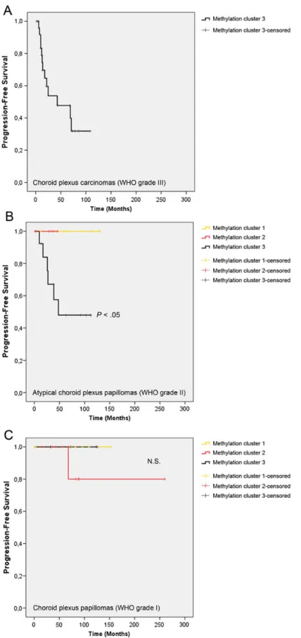 Fig. 2. Methylation profiling identifies molecular high-risk and low-risk clusters. Kaplan-Meier estimates of progression-free survival according to methylation clusters, examined (A) in choroid plexus carcinomas (WHO grade III, N ¼ 26), (B) in atypical ch