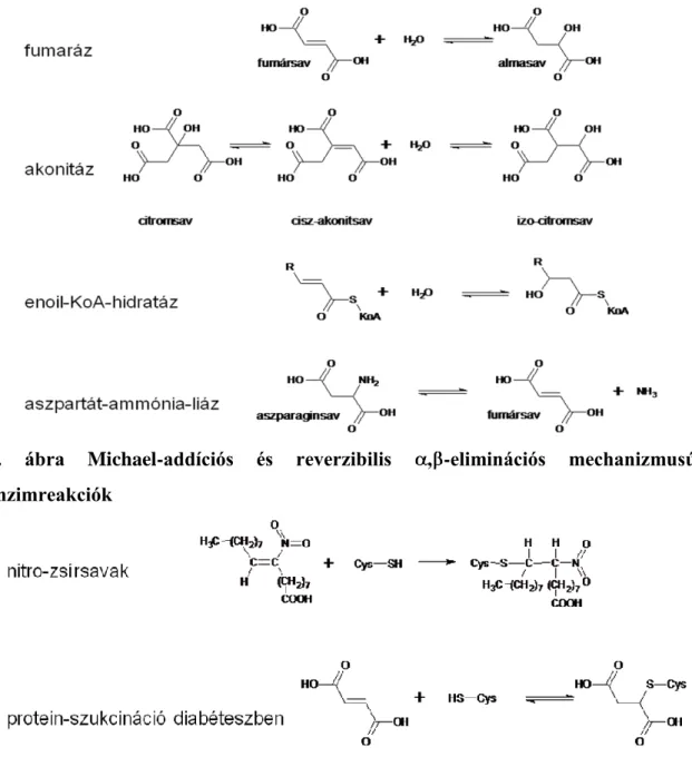 3. ábra Patobiokémiai jelentőségű Michael-addíciós reakciók 