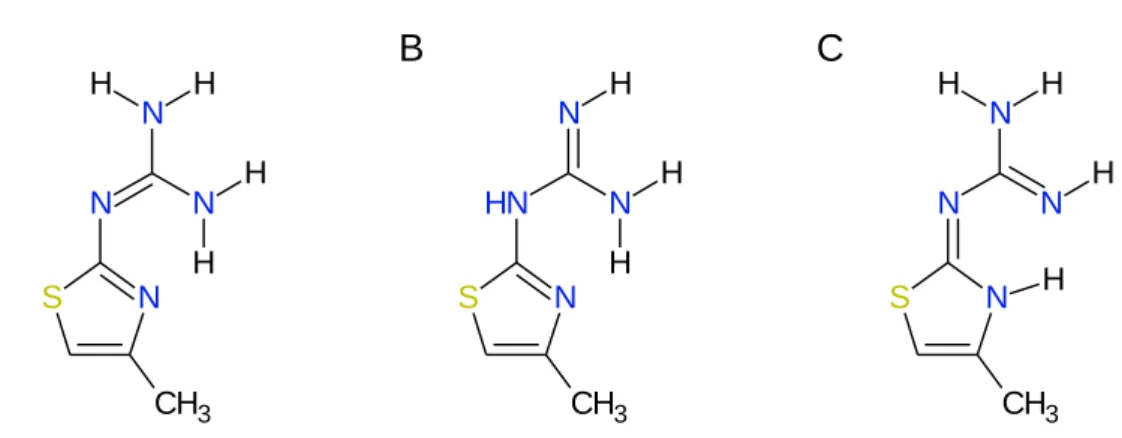 13. ábra A 4-metiltiazol-2-il-guanidin tautomerjei (Button és mtsai [79])  Olea-Azar  és  Parra-Mouchet  AM1  szemiempirikus  módszerrel  számították  ki  a   2-guanil-tiazol  és  a  famotidin  guanil-oldalláncának  konformációit,  a  14