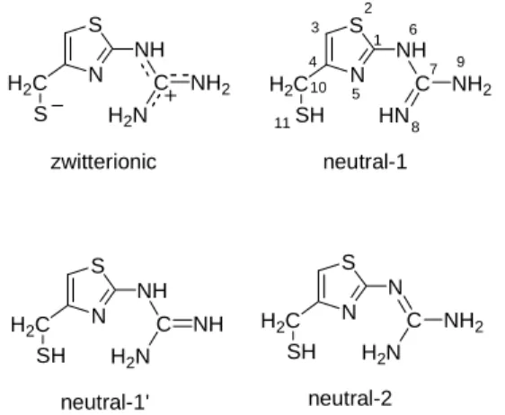 Fig. 2. The investigated protonation forms of   N-(4-mercaptomethyl-thiazolyl)-guanidine   
