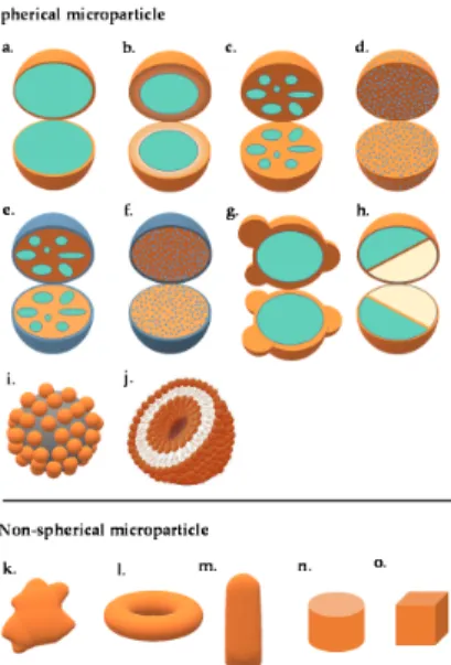 Figure 1. Schematic illustration of the different microparticle structures: (a) mononuclear/single core/core-shell, (b) multi-wall, (c) polynuclear/multiple core, (d) matrix, (e) coated polynuclear core, (f) coated matrix particle, (g) patchy microparticle