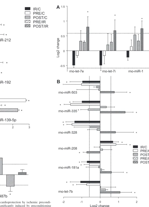 Fig. 3. MicroRNAs associated with cardioprotection by ischemic precondi- precondi-tioning