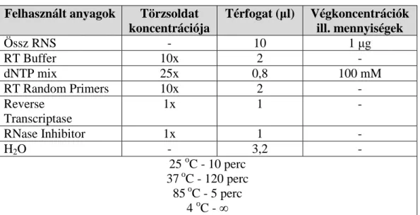 1. táblázat. A reverz transzkripció metodikája. 