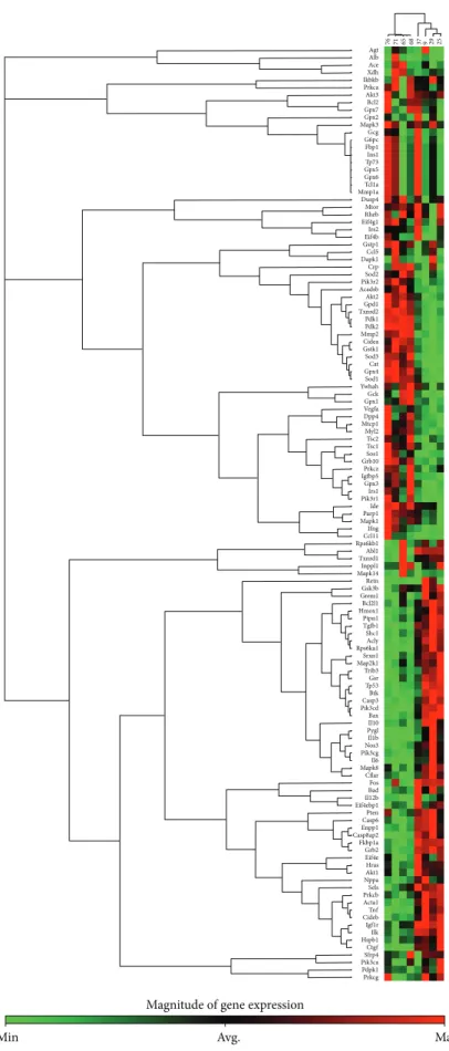 Figure 4: PCR array gene expression clustergrams: (a) GK + sham versus W + sham, (b) GK + MI versus GK + sham, (c) GK + MI versus W + MI, and (d) W + MI versus W + sham