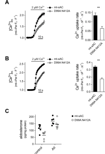 Fig. 4. Effect of mt-sAC overexpression on mitochondrial Ca 2+