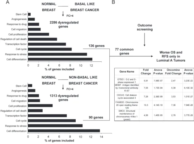 Figure 1: Identification of genes associated with detrimental outcome in Luminal A tumors