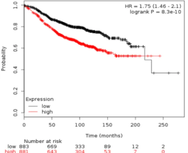 Figure 2: Association of GTSE, CDCA3, FAM83D and SMC4 individually with relapse free survival in Luminal A  tumors using KM Plotter online tool, as described in material and methods.
