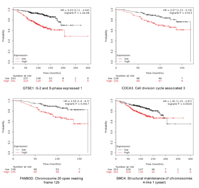 Figure 4: Association of the combined analyses of GTSE, CDCA3, FAM83D and SMC4 with relapse free survival in  Luminal A