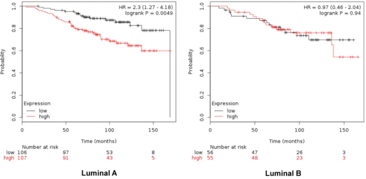 Figure  5: Association  of  the  combined  analyses  of  GTSE,  CDCA3,  FAM83D  and  SMC4  with  overall  survival  in  Luminal A