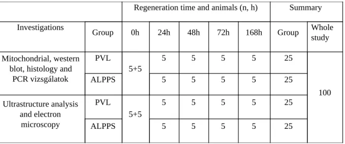 Table   1:   Animal   allocation   in   the   first   study.  