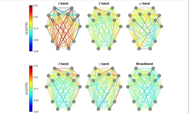 FIGURE 6 | Topology of the degree of multifractality in dynamic functional connections across the brain cortex