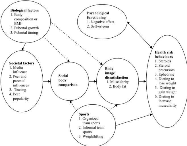 Figure 1. Model for putative risk factors for body change strategies in males (Cafri et al., 2005)