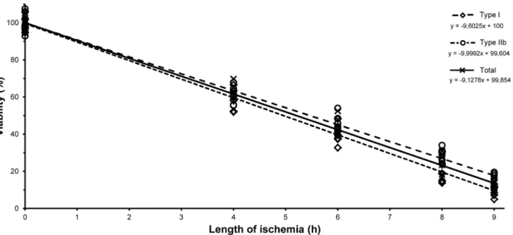 Figure 2. Changes in muscle fiber viability with the progression of ischemia regarding Type IIb, Type I fibers as well as total fiber viability