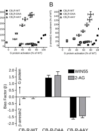 Figure 7 A C 0 20 40 60 80 100020406080100120140160CB1R-AAYCB1R-WTCB1R-DAAG protein activation (% of WT)β-arrestin2 recruitment (% of WT)B020406080100050100150200250300CB1R-AAYCB1R-WTCB1R-DAAG protein activation (% of WT)β-arrestin2 recruitment (% of WT) -