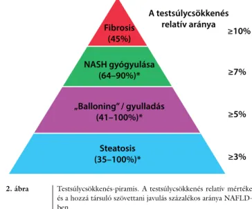 2. ábra Testsúlycsökkenés-piramis. A testsúlycsökkenés relatív mértéke  és a hozzá társuló szövettani javulás százalékos aránya  NAFLD-ben